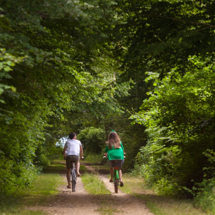 12_MG_1828_QUINTAS-scaled