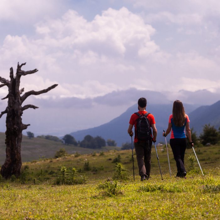 19_MG_2143_QUINTAS-scaled